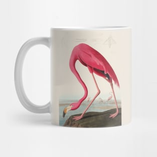 American Flamingo (1838) by John James Audubon Mug